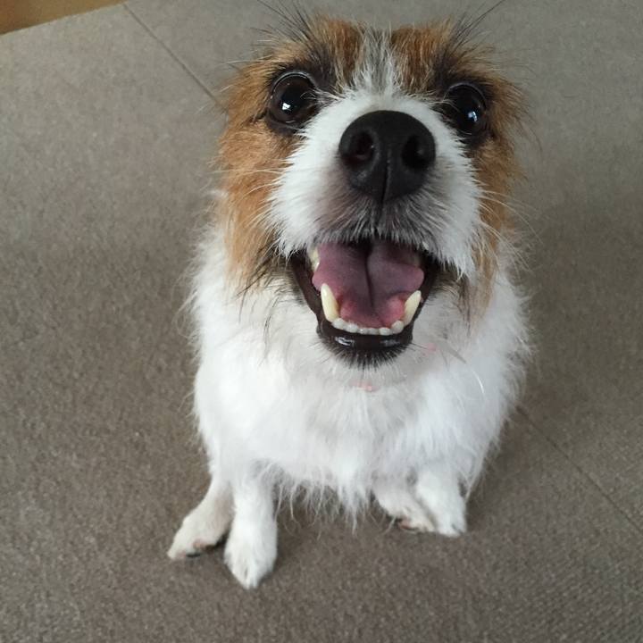 Ce4dcc23 9d9f 4f57 a27a 4851d2d6af9c