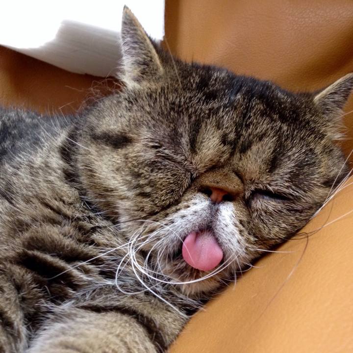 Ce4debe5 adb9 49be a956 726c0f276cf0