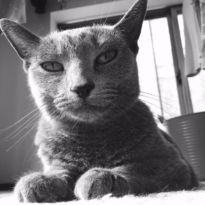 Ce4e560c 0b8b 4fb6 81d9 f1b28a393934