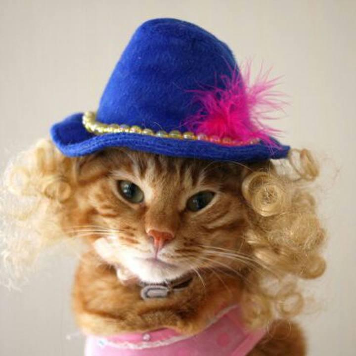 Ce4e7a8c db5d 4dbb aece f2797d8b5197