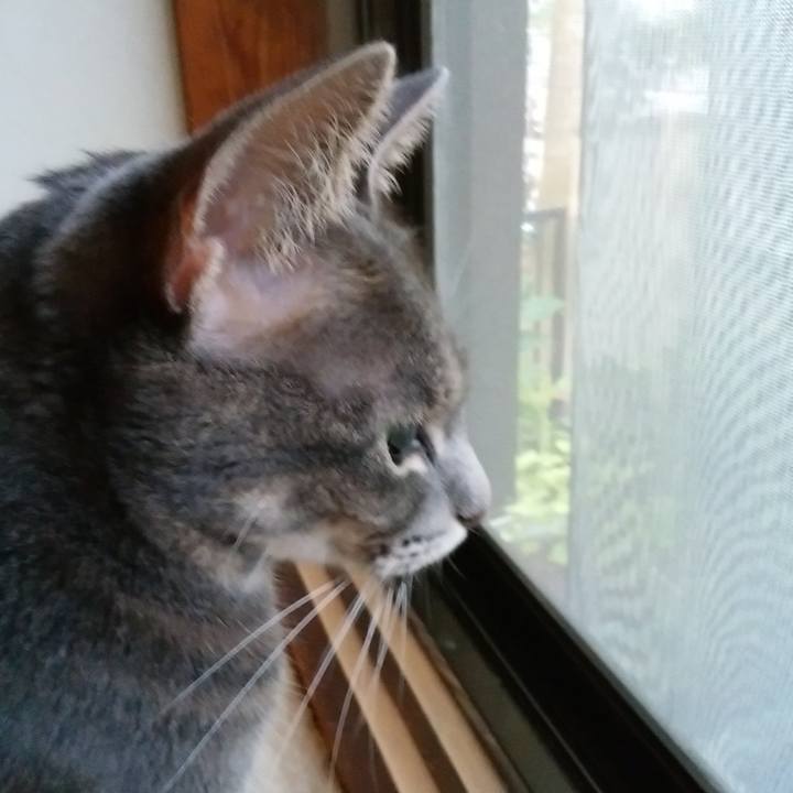 Ce4f8f86 1291 4c38 84ad 007aa91044ff