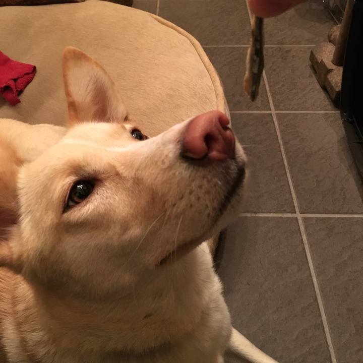 Ce4fbc62 ac57 4a83 8b65 bc66ac2609e9