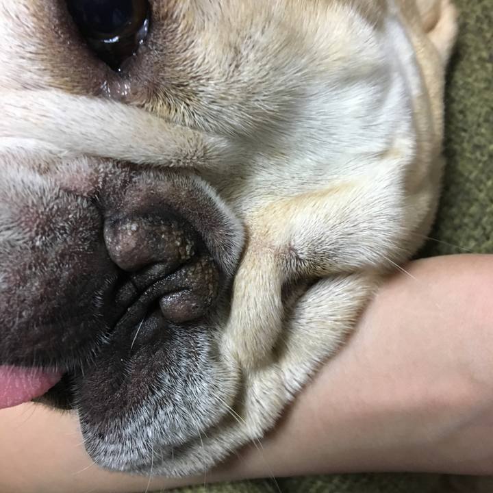 Ce501332 871e 42e5 b7c3 bd678f774905