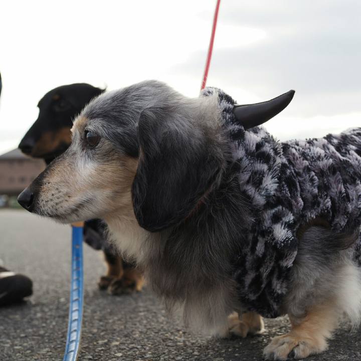 Ce504647 1d1c 4955 bcfe 8ad7686f5d17