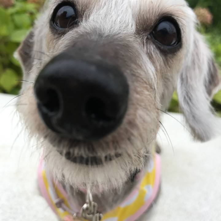 Ce50508c 7867 4d24 9fc8 200bc0df9f7d