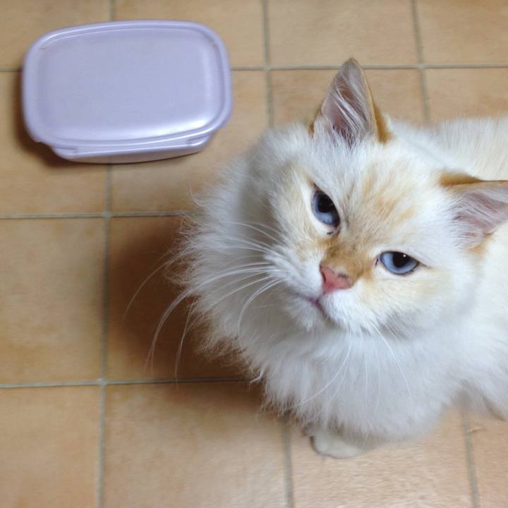 Ce5060a0 7d9d 4127 a9b5 0a0c017c074f