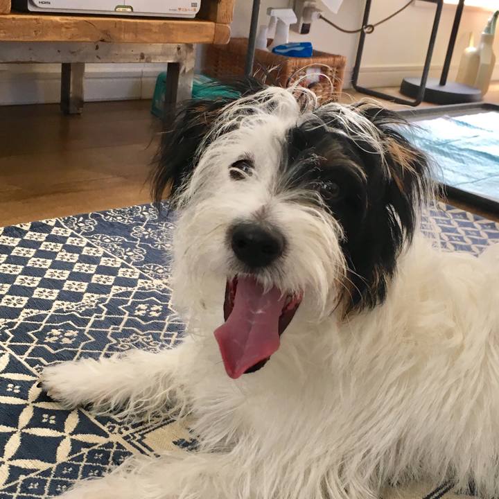 Ce507d89 7932 4ba8 938d a1469e89e9d8