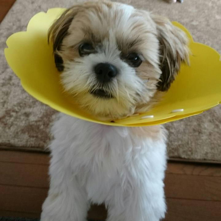 Ce5081ed 7a0b 4fce bb85 b4956f514bb2