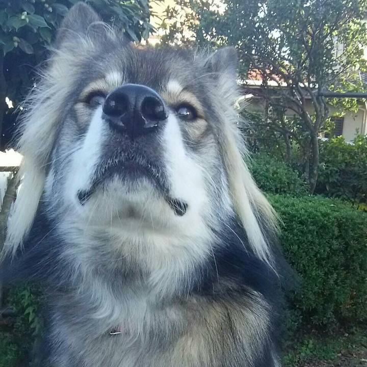 Ce51362d 9307 4662 9478 2b622b8ffc92