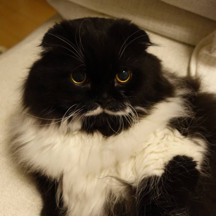 Ce5247cc c1b6 4b95 a89d 74f89832fde2