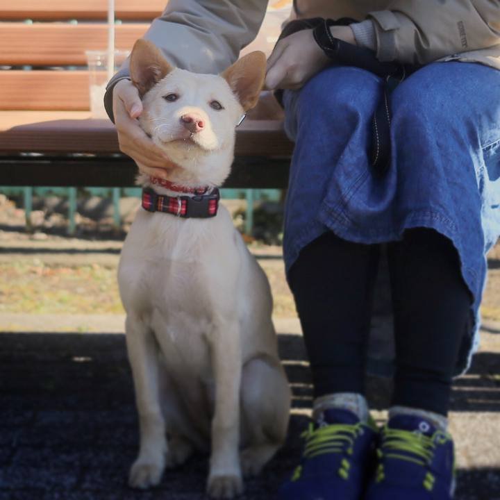 Ce52bcba a5ea 4f30 8f65 a3ef0098d6c9