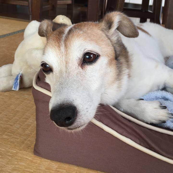 Ce52c846 bbad 4c13 9149 5ec18d53bb49