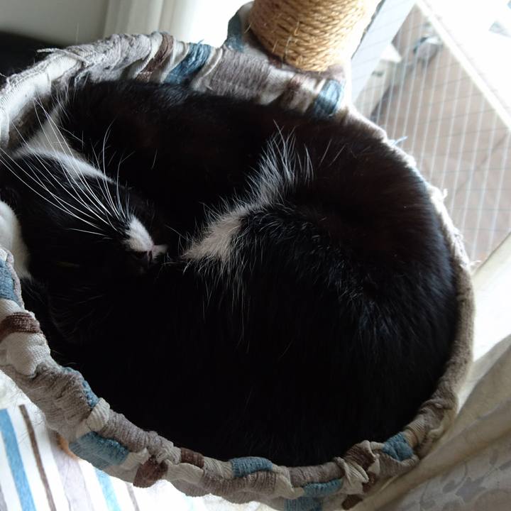 Ce53277d 18f8 419f ade3 ab6aa78f56cb