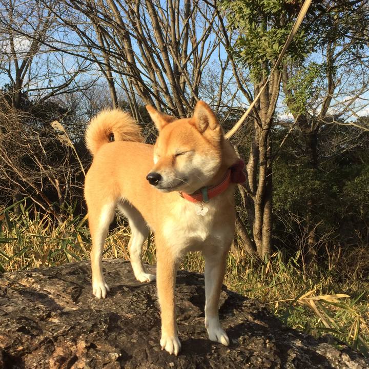 Ce53316f 47f9 44a2 ad1d 1165aeddd971