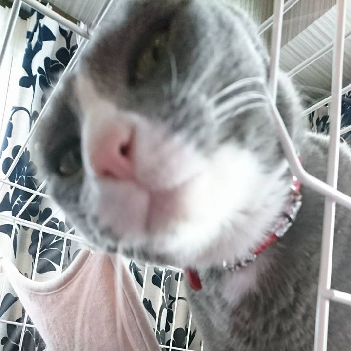 Ce535359 f98f 4eaf bf01 87e3d12bb81f