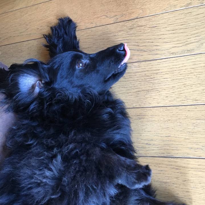 Ce53c743 db33 44c2 ae6c 22f7ff494cc3