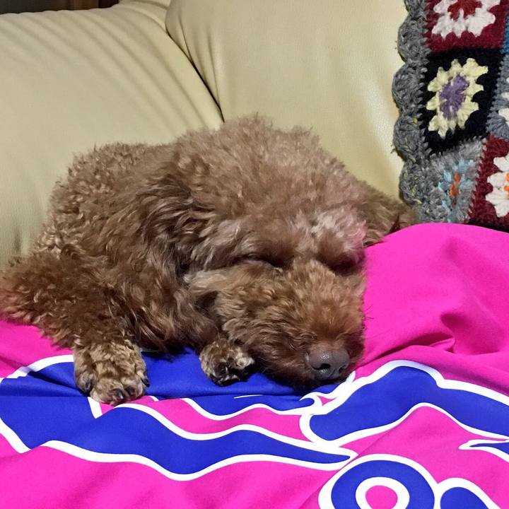 Ce54d688 16b2 4d00 a40f 9e43234fe4c0