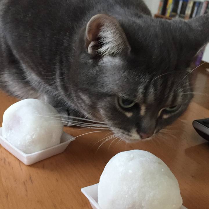 Ce550542 316c 4945 bc5e 540c4cdb00b4