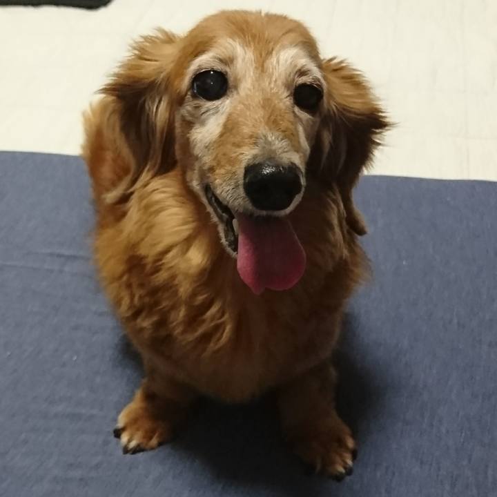 Ce5532b7 aef3 4cfe 904e 4f93235d1446