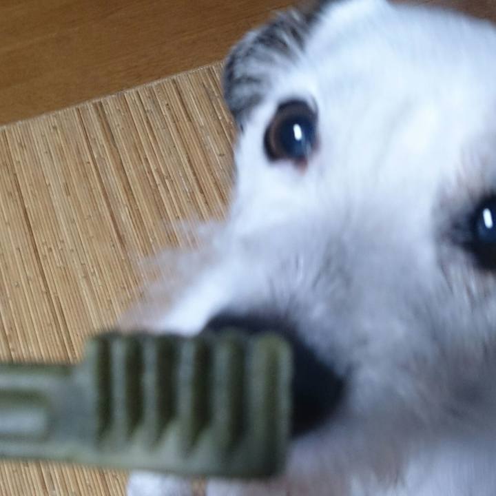 Ce556d17 7cb5 4d04 9bf3 f270e3931df5