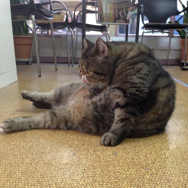 Ce56f6c2 e288 4d60 a803 c03ca4f8a958