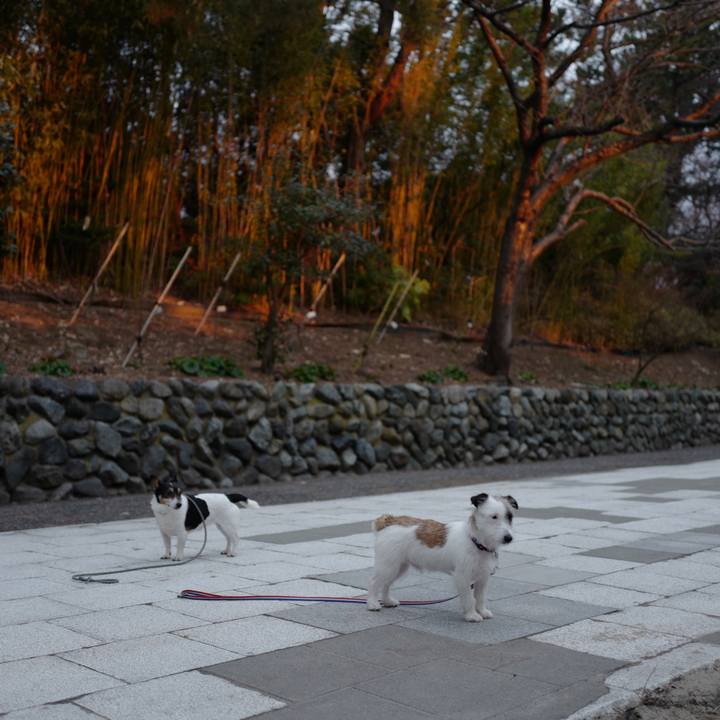 Ce570ed5 6181 4ef5 97d3 a1607e783aea