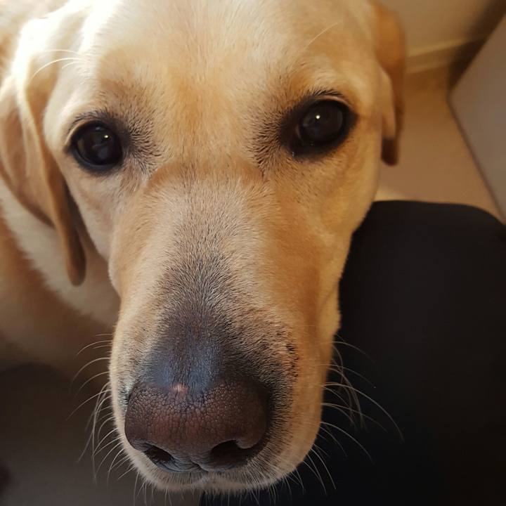 Ce582ca4 15a4 4979 a279 52ca8c63d138