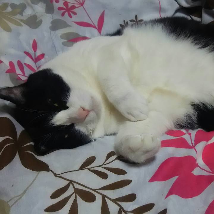 Ce582de5 0c53 4c67 a8fb 57976ce6b291