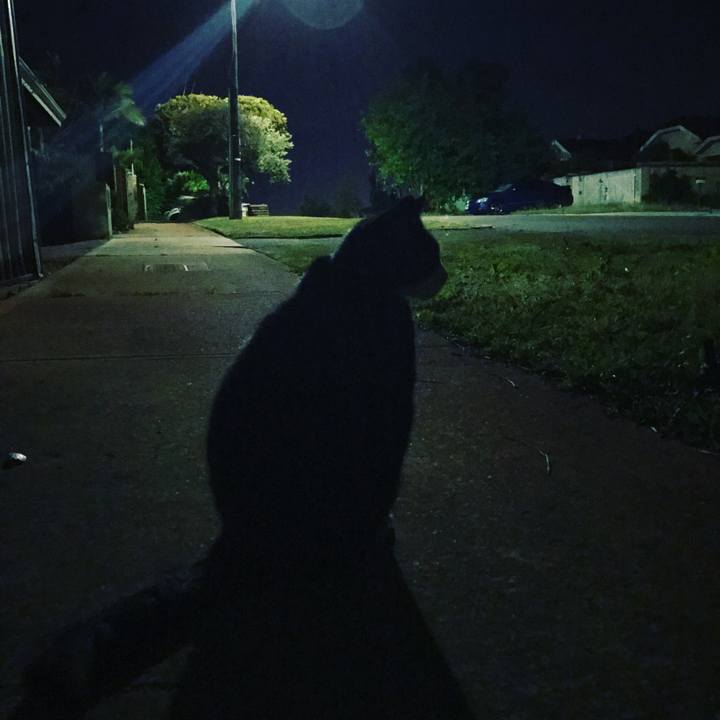 Ce59040c 9981 4702 8bf5 b49516807861