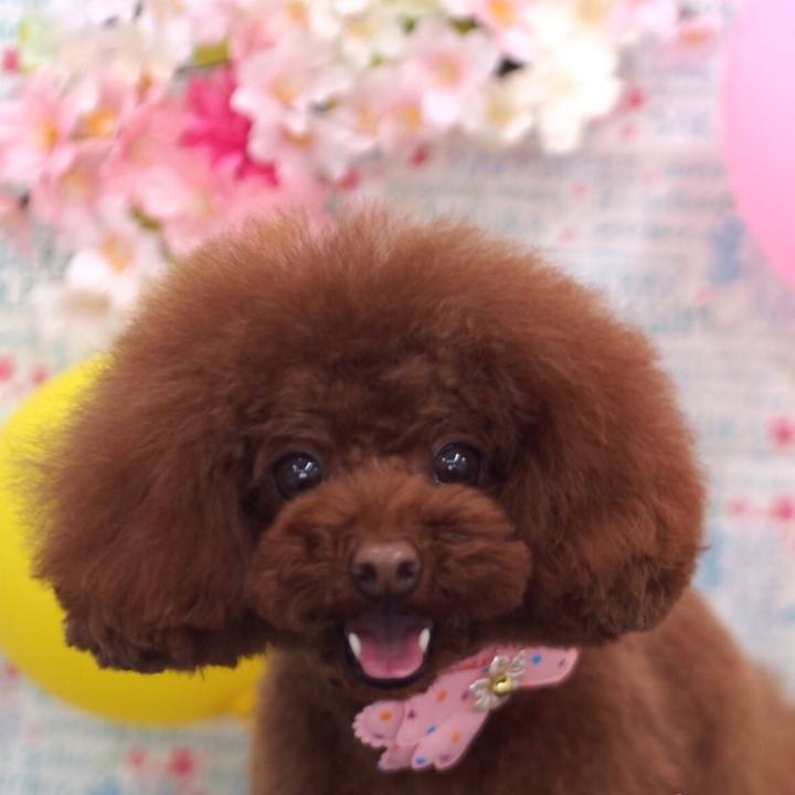 Ce595551 2656 43ce 9214 27d13a732f39