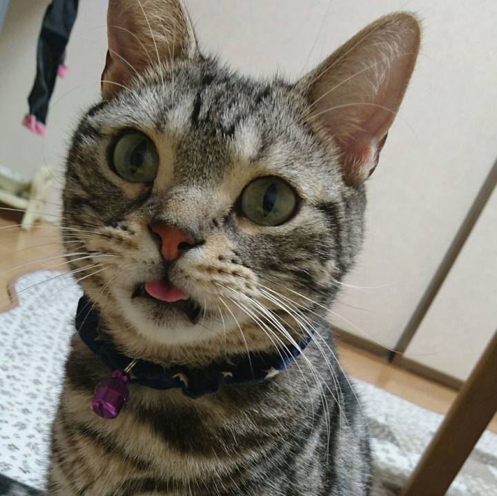 Ce59bb64 471d 489f a74c 30cd4f539cb7