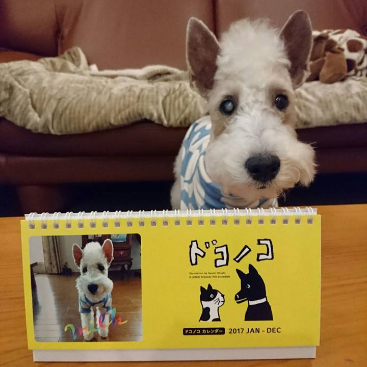 Ce5bb3d7 6191 44b9 9936 42aa4d410a9f