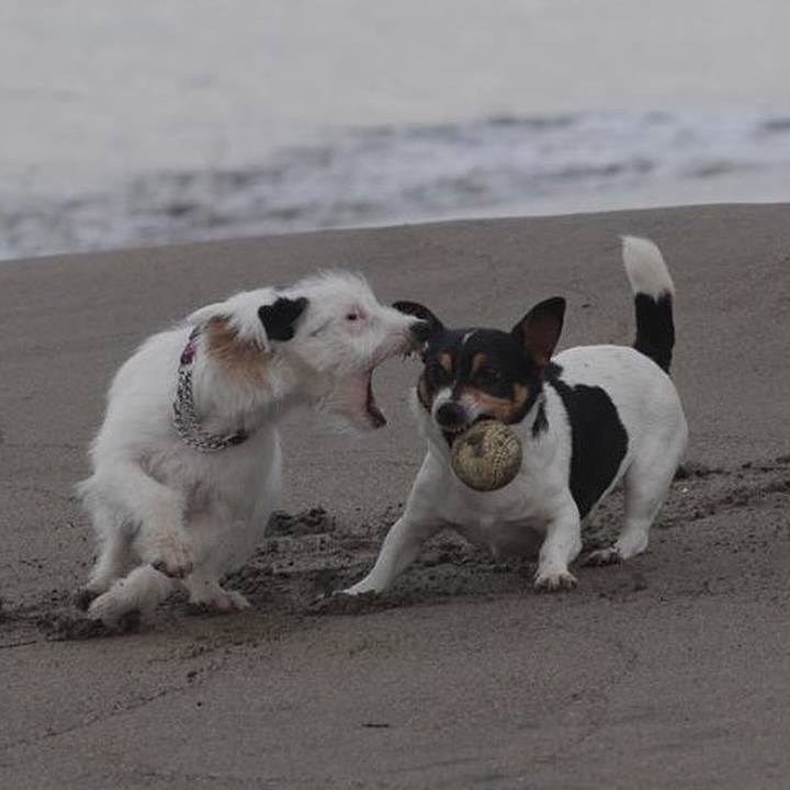 Ce5bed0b ae18 4ad6 b4bd 0b4d86b32ea5