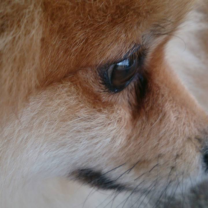 Ce5bef35 480e 4500 b5b4 7c342f66a66a