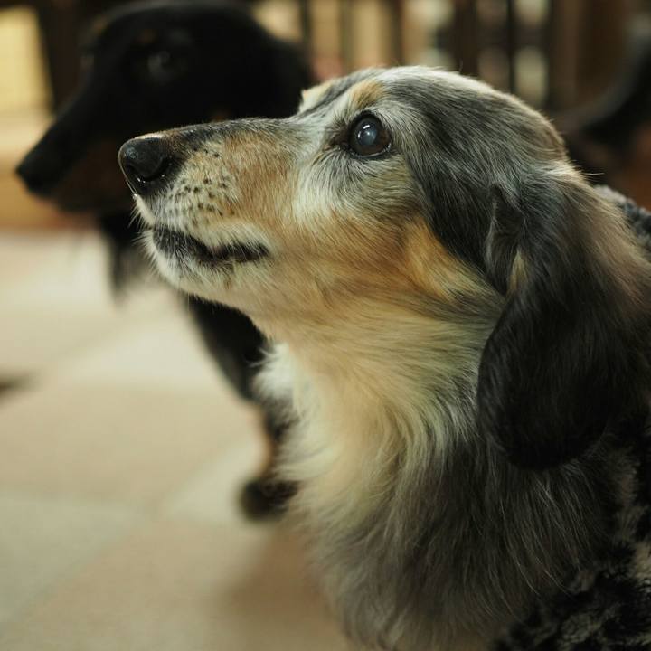 Ce5c0cb7 608e 497f 8df3 fc58ab927f10