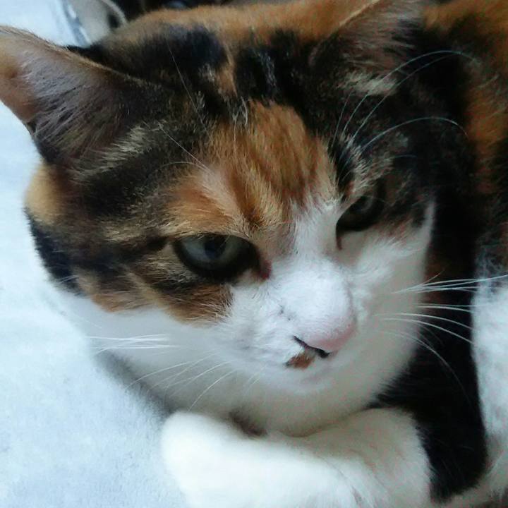 Ce5c19f7 188b 4bdf b0c4 d6568db82186