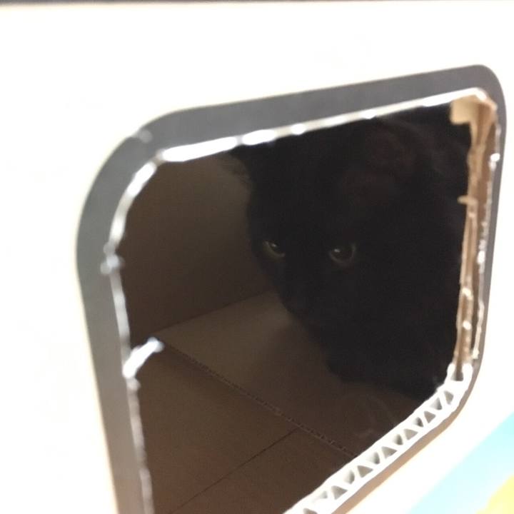 Ce5deb5f 57dd 4e5a 8177 ebb776ea6fca