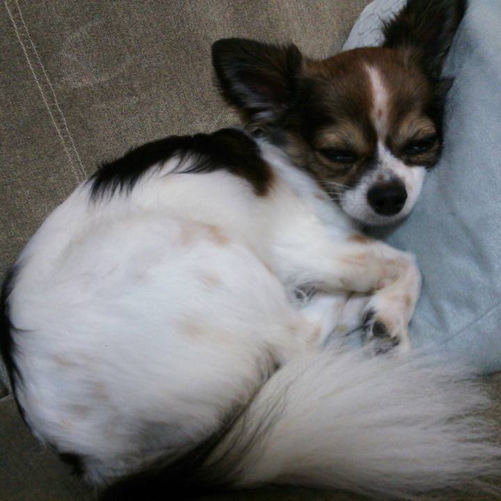 Ce5e3ee6 35a9 4202 83f1 9a97dd8834a7