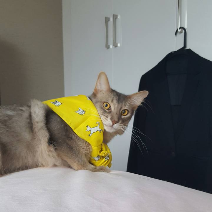 Ce5f3dd9 bb37 4683 96af 8b3aebd9518f