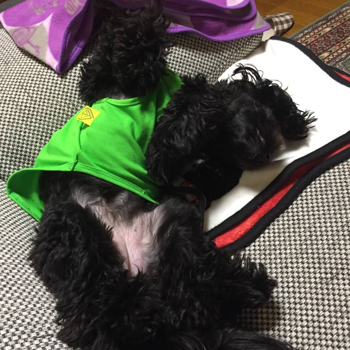 Ce5f4132 0c6b 49fa ae53 1f07901b99e4