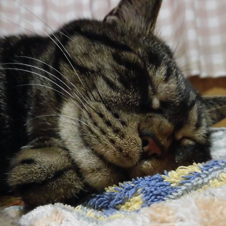 Ce5f9392 0500 457c 9591 6e08d9b50ccb