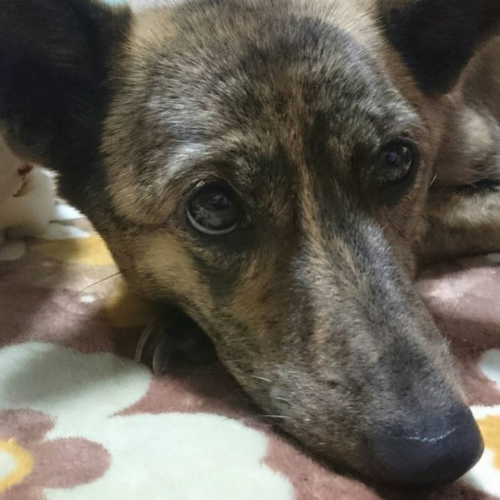 Ce6181d4 40db 45c4 95ff 8b61c1263e77