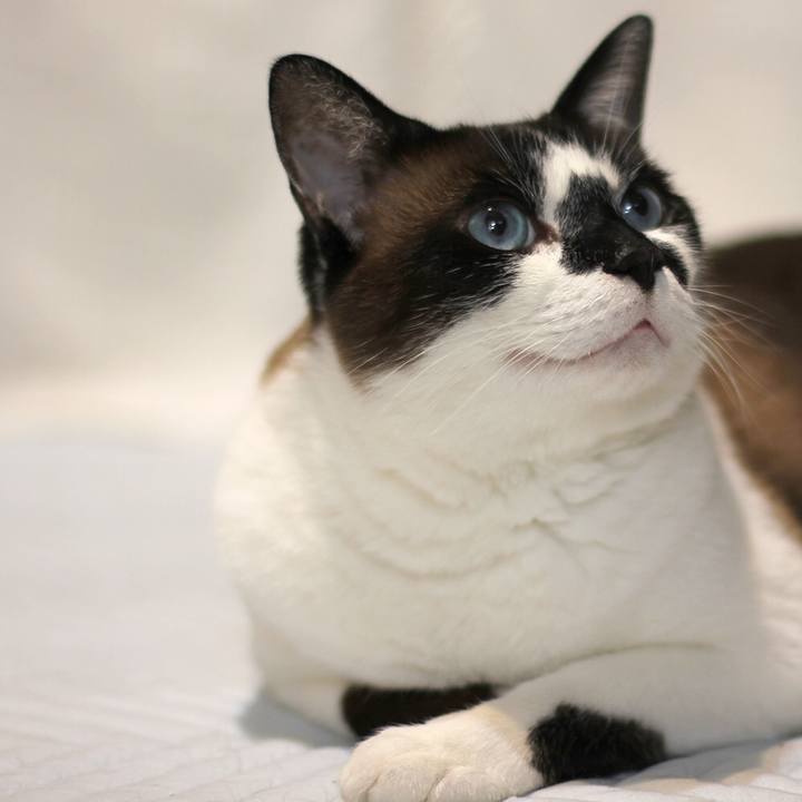 Ce61f116 8ee5 4e7a 9d35 eb448207ef54