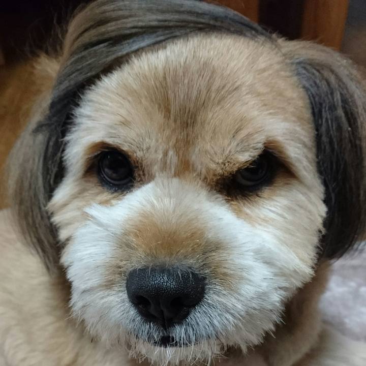 Ce6221f6 b749 4a03 9339 4d7ef464b238