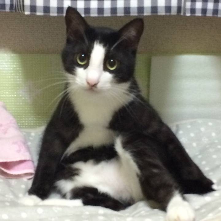 Ce624aaf 1d36 46ae 9a0f ffe38573b699