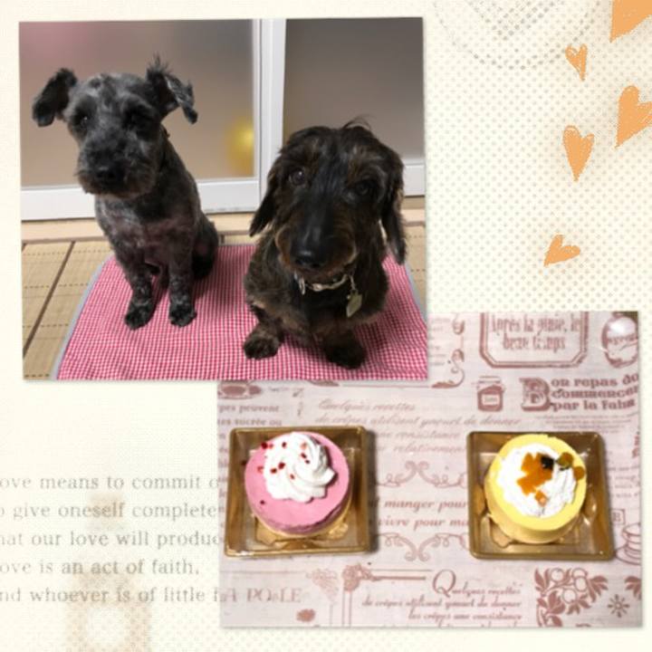 Ce62517e a2cd 4fef bc85 5ebaa0d1cfe0