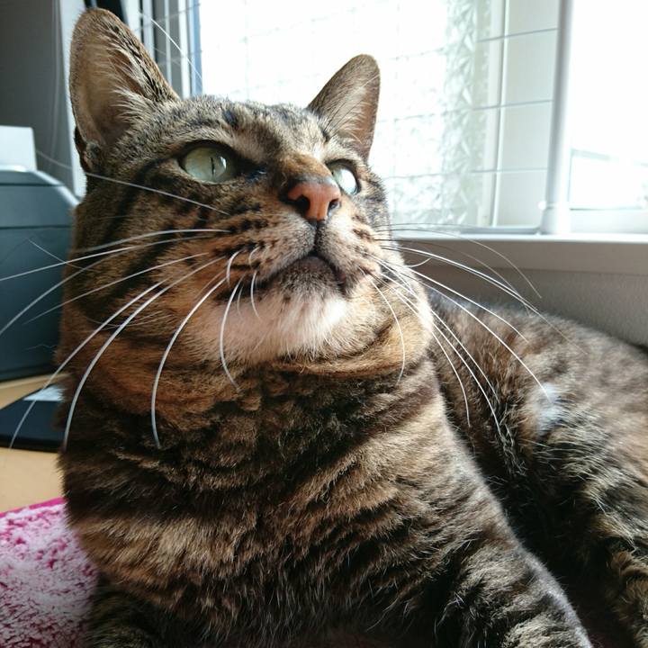 Ce62e219 4eec 458c 9307 d0a198c16e46