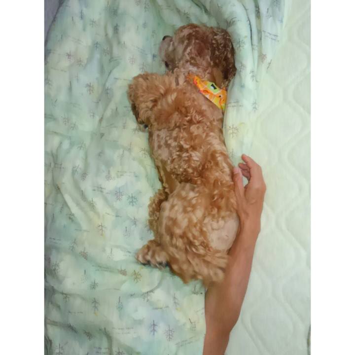 Ce6344a7 e591 45d0 a621 239aba49aa31