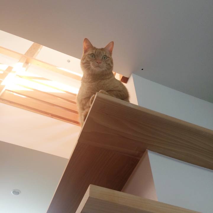 Ce638f68 c6e5 471e adcd 99c5a89cda8b