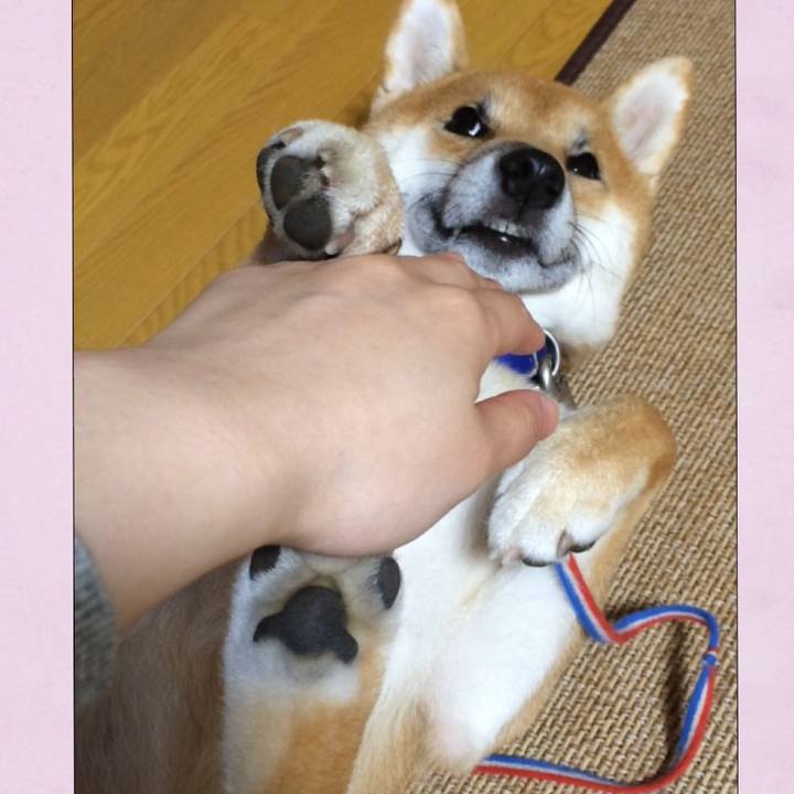 Ce63bb46 7839 46b5 b9cf 0293f32b065b